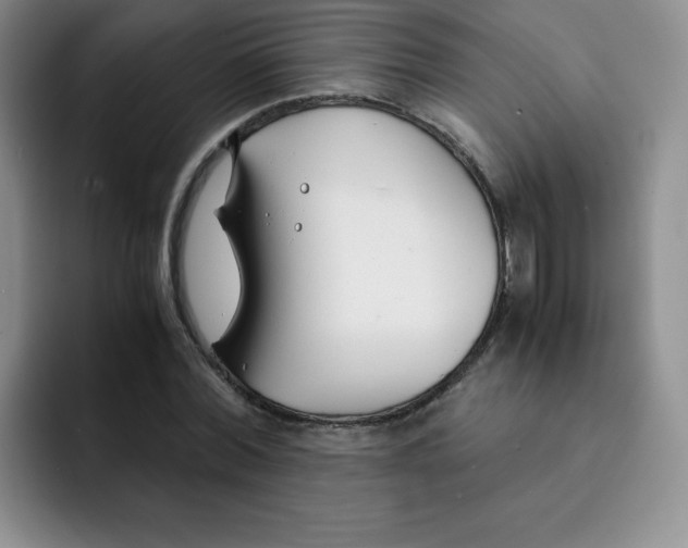 X0000091660780200709201143