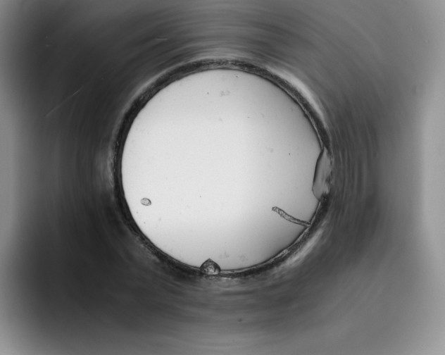 X0000091660783200709201143