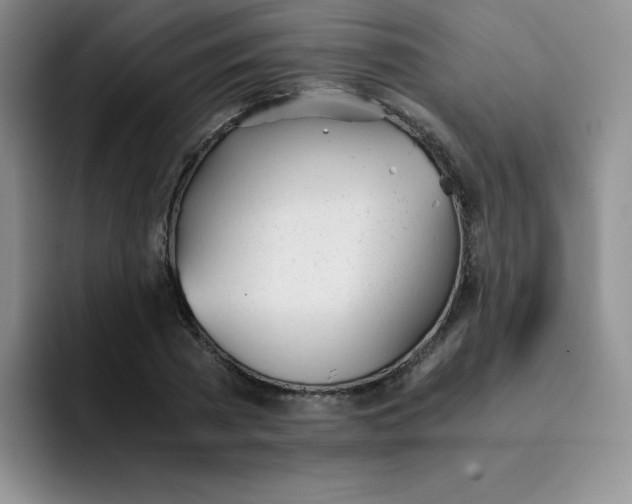 X0000091660785200709201143