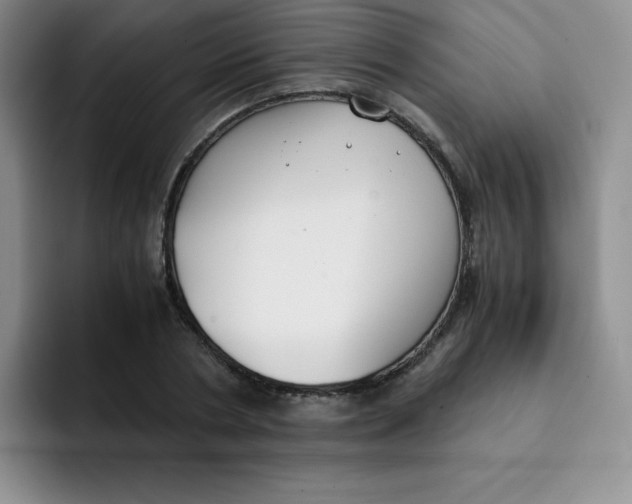 X0000091660786200709201143