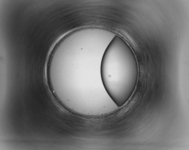 X0000091660788200709201143