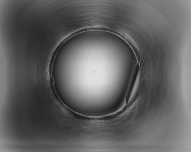 X0000091660789200709201143