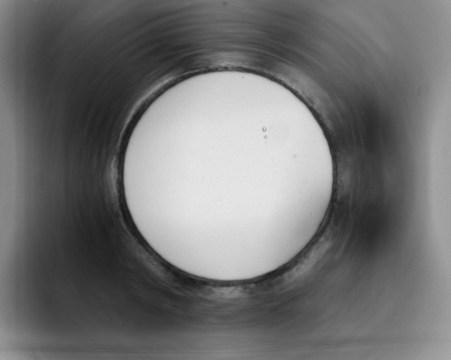 X0000091660798200709201143