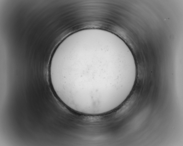 X0000091660802200709201143