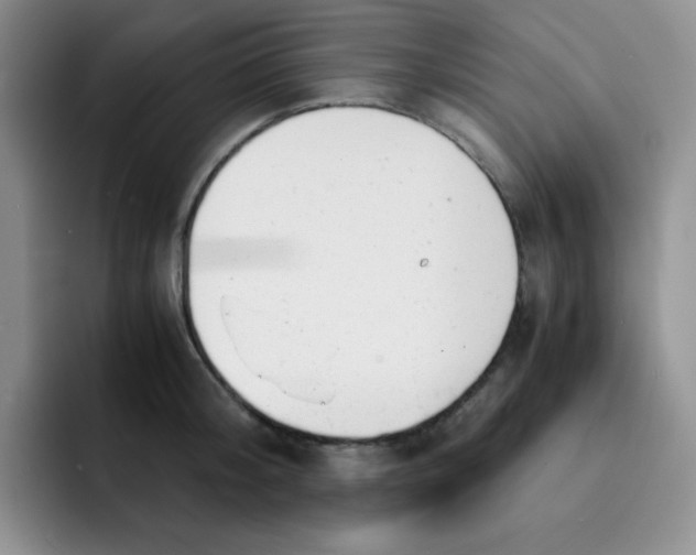 X0000091660804200709201143
