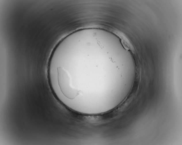 X0000091660805200709201143