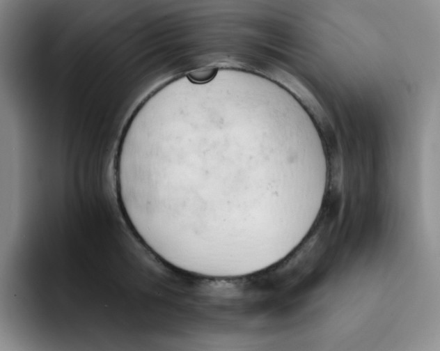 X0000091660806200709201143