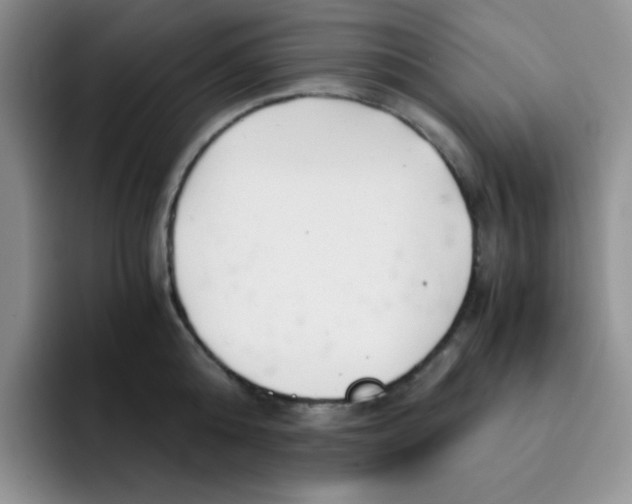 X0000091660808200709201143