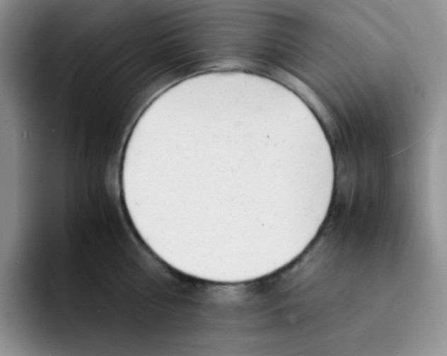 X0000091660810200709201143