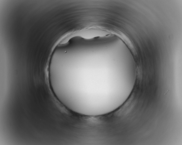 X0000091660814200709201143