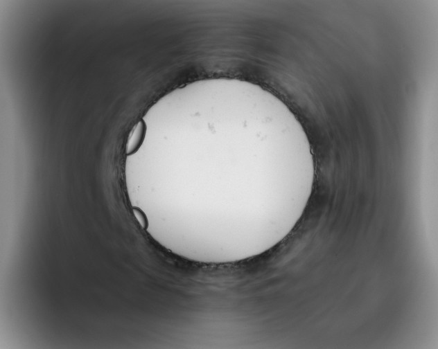X0000091660817200709201142