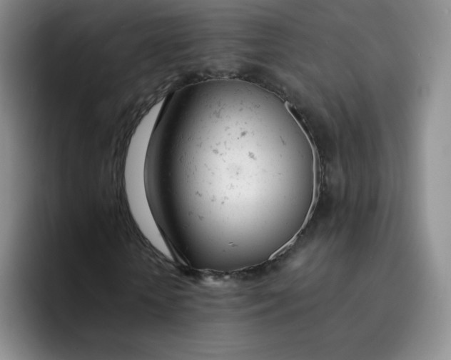X0000091660818200709201142