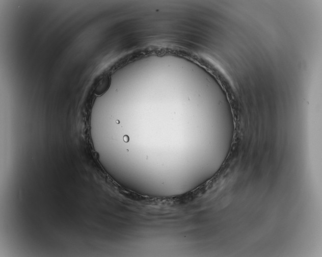 X0000091660823200709201142