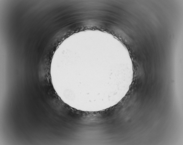 X0000091660824200709201142