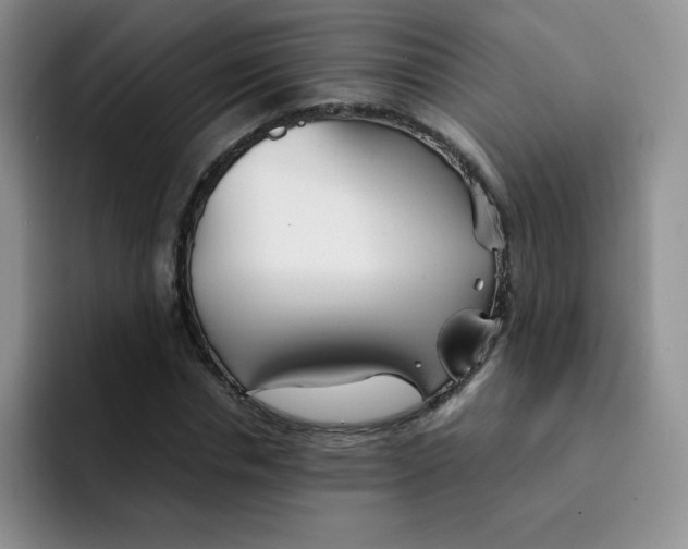 X0000091660826200709201142