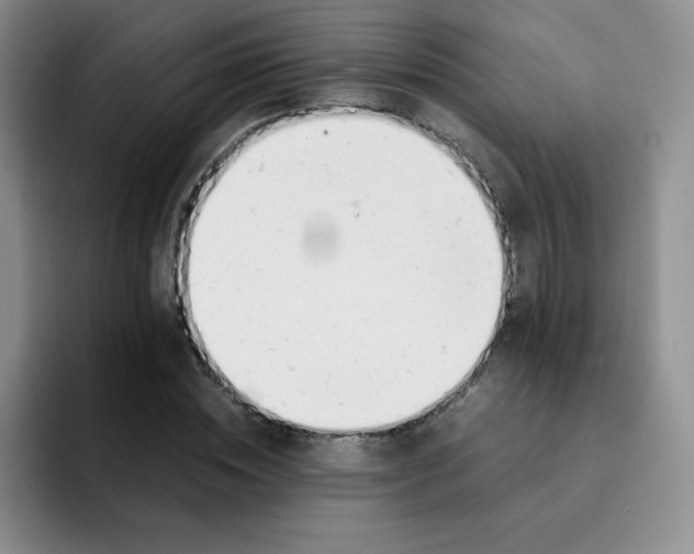 X0000091660828200709201142