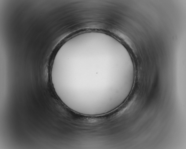 X0000091660829200709201142