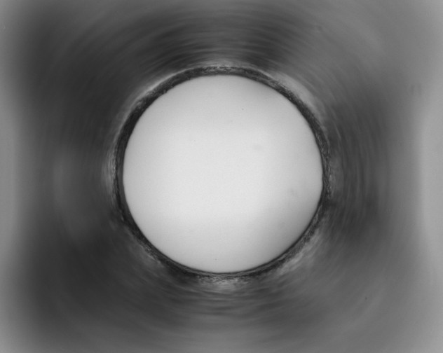 X0000091660831200709201142