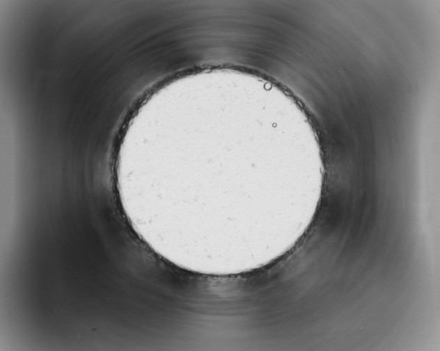 X0000091660832200709201142