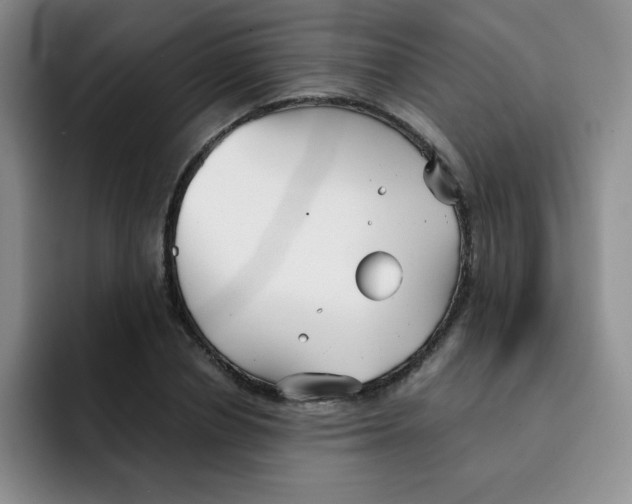 X0000091660834200709201142