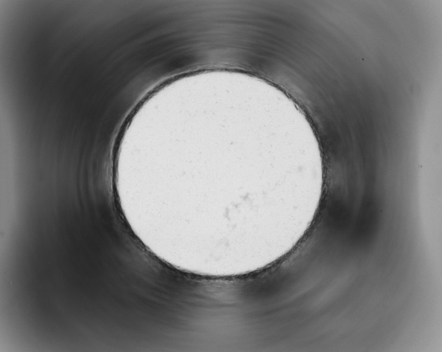 X0000091660836200709201142