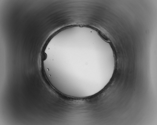 X0000091660838200709201142