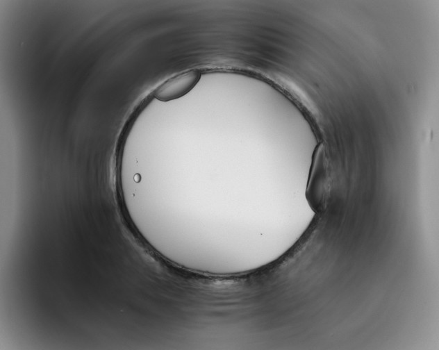 X0000091660839200709201143