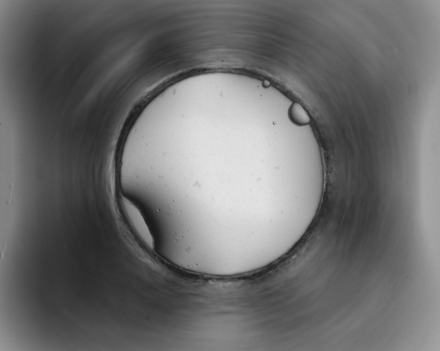X0000091660840200709201143