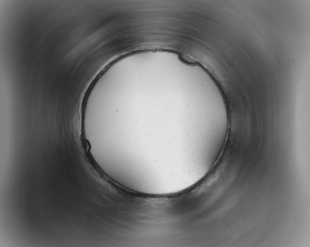 X0000091660844200709201143