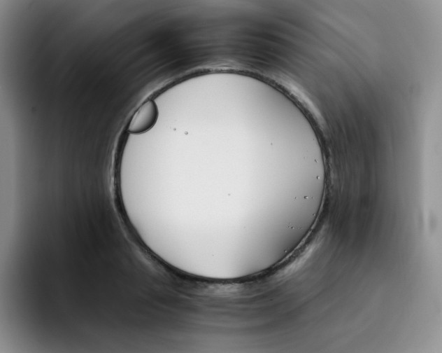 X0000091660845200709201143
