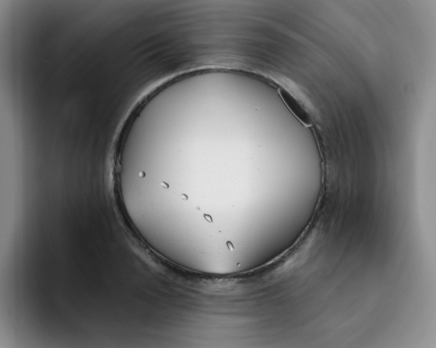 X0000091660846200709201143