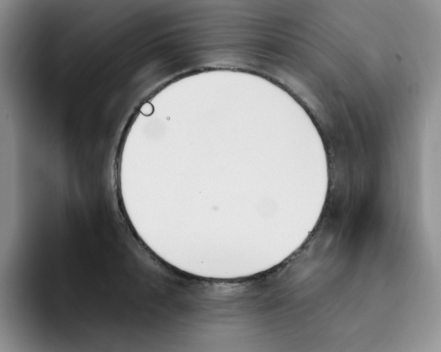 X0000091660848200709201143
