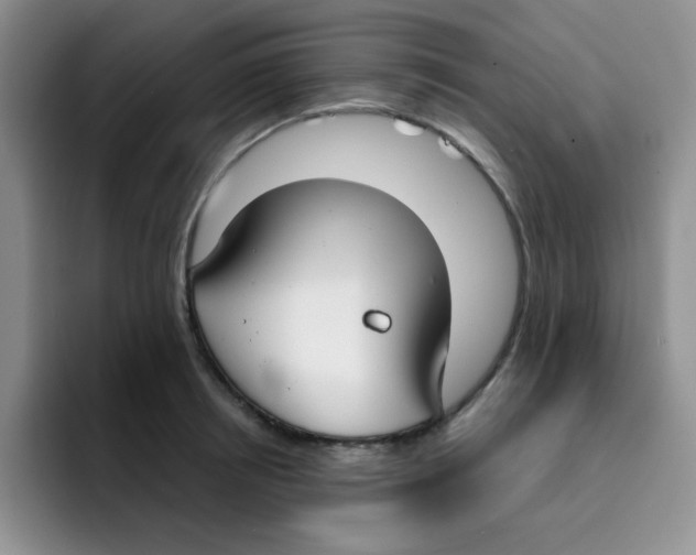 X0000091660850200709201143