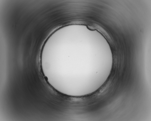 X0000091660852200709201143
