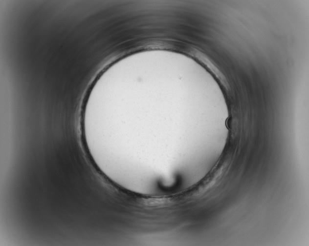 X0000091660853200709201143