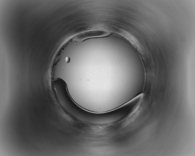 X0000091660854200709201143