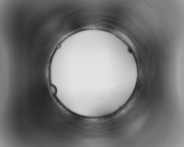 X0000091660855200709201143