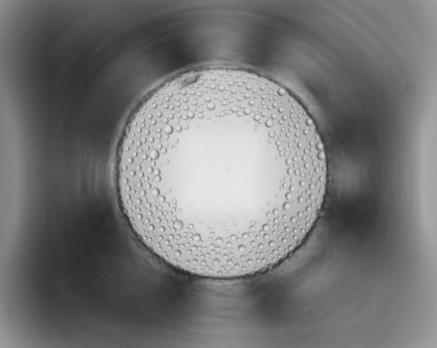 X0000091660856200709201143