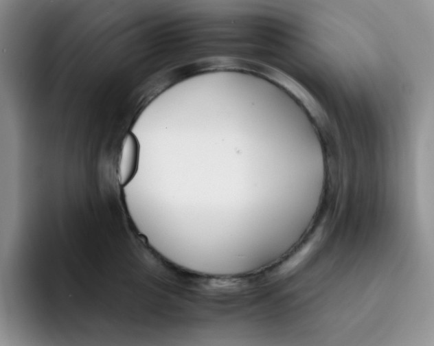 X0000091660857200709201143