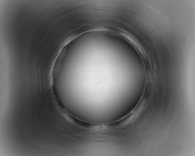 X0000091660858200709201143