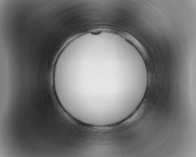 X0000091660860200709201143