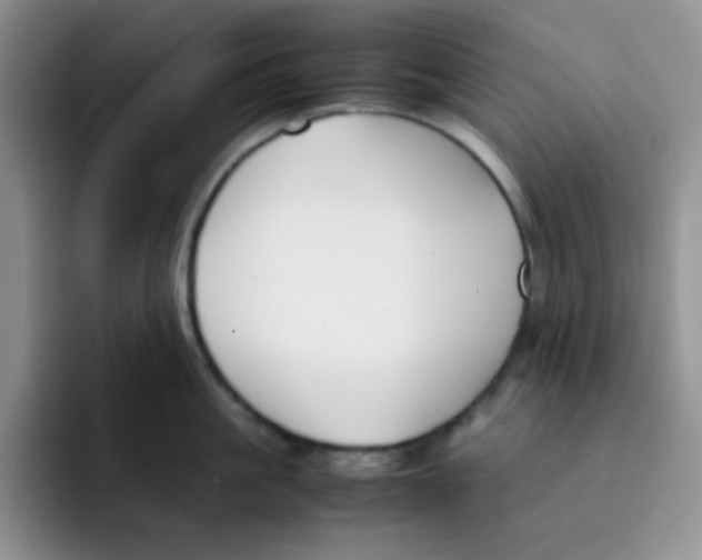 X0000091660861200709201143