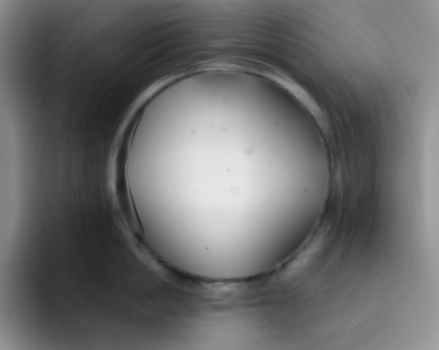 X0000091660862200709201143