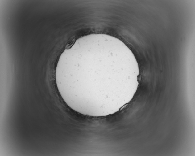 X0000091660865200709201142