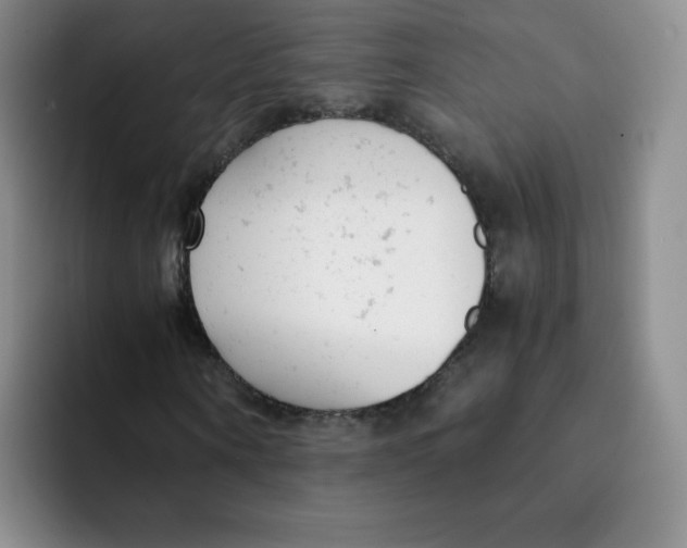 X0000091660866200709201142