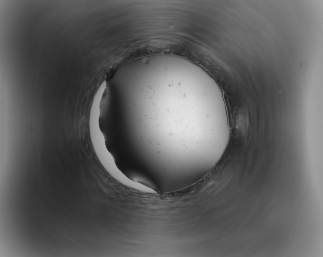 X0000091660868200709201142