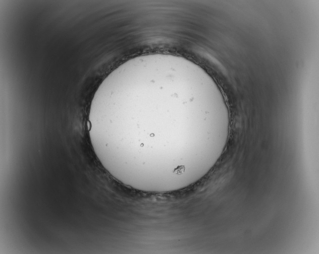 X0000091660869200709201142