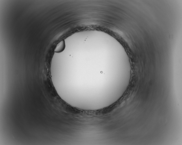X0000091660871200709201142
