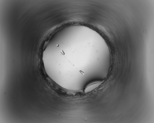 X0000091660872200709201142