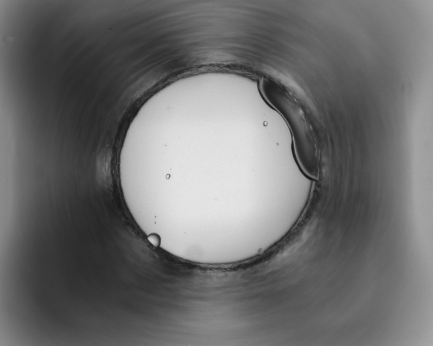 X0000091660873200709201142